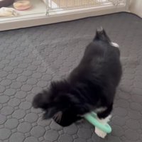 前足が輪っかの中に