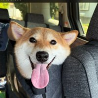 あざとい表情