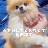 「お仕事行かないで！」