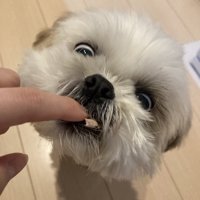 表情