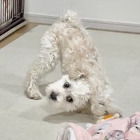 「やるならやってみろ！」