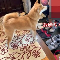 お姉ちゃんをお出迎えするために玄関へ