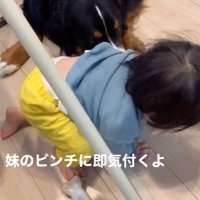 女の子を見守るダンロくん8