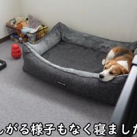 出勤前のママさんとメイちゃん⑩