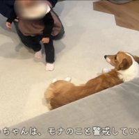 なかなか仲良くなれない…
