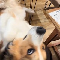 「一緒に座ってもいい？」