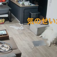 落胆するセブンちゃん