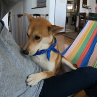 しがみついてきました！