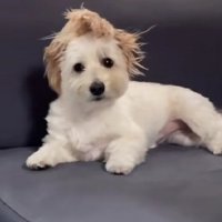 こっちを見た！！