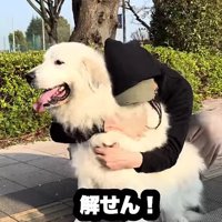 そんなところも可愛い！