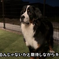 お庭に出たら、お友達を思い出して…