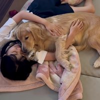 「もう行っちゃうんでしょ」