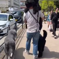 甘えん坊なCOCOちゃんでした♡