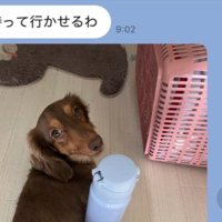 旦那
