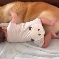 赤ちゃんの隣でスヤスヤ