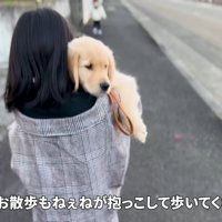 お散歩係も担当