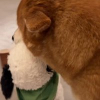 全身で喜びを表現する