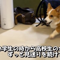 学校に行く時間が迫るとソワソワ…