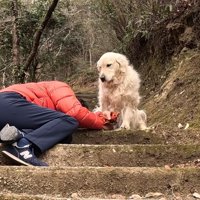 心配そうなお顔