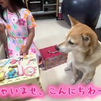 美容室ごっこが始まった