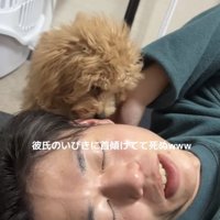 トイプーを手で避ける男性