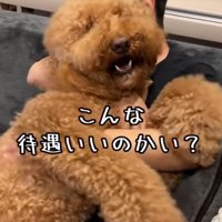 口が開きっぱなし！