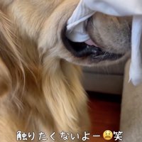「離さない」という強い意志