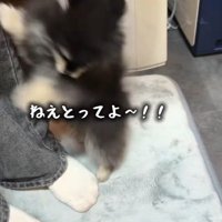 「代わりに取って～」