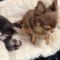 みんな見守ってくれる