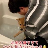 湯船に入るまろ君