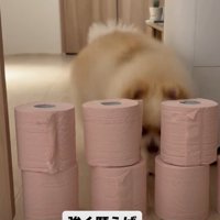 「…そろそろ叶ったかな？」