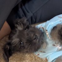 ママを見るゆずくん