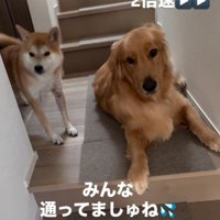 鉄壁にはなりきれてない！？