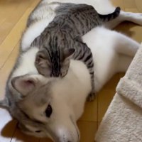 「会いたかった！」