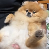 甘えながらまったり♡