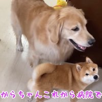 おからちゃんだけを病院へ…