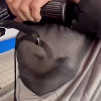 思わず凝視してしまいそう