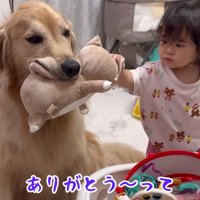 頼もしい姿にホッコリ♡