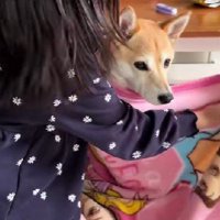 いらっしゃいませ～！