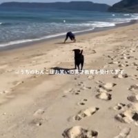 駆け出すロコくん