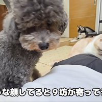 心配そう…！