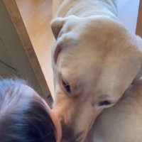 ドアを開けた瞬間、2匹が出てきて…