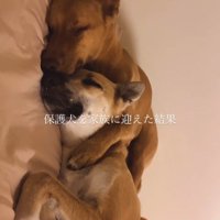 JayくんとJohnnyくん