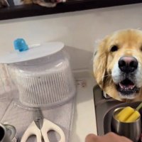 大根をおろすママ