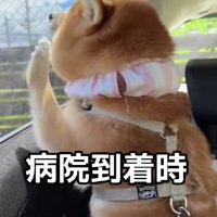 「早く遊びたい！」