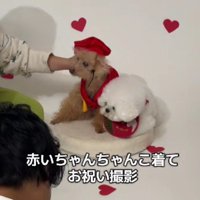 ぷにちゃんと記念撮影