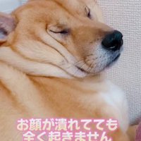 なんともユニークな姿に…♡