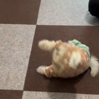 バランスを崩して…