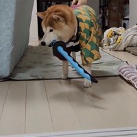 まるで小さな武士
