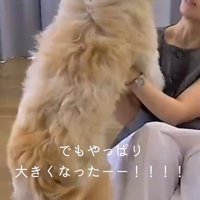 女性に飛びつこうとする子犬